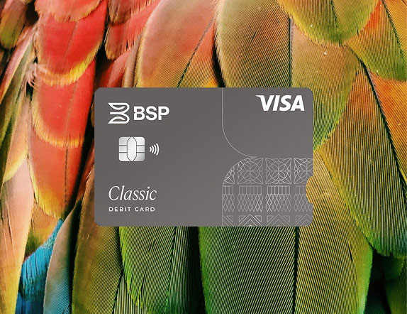 Visa Classic 직불카드